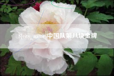 祁阳中国队第八块金牌