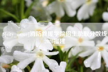 祁阳消防救援学院招生录取分数线2020福建