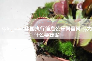 祁阳中国执行信息公开网官网app为什么要钱呢
