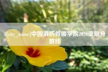 祁阳中国消防救援学院2021录取分数线