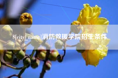 祁阳消防救援学院招生条件