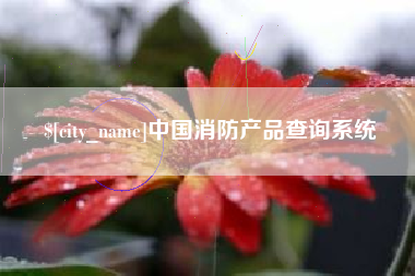 祁阳中国消防产品查询系统