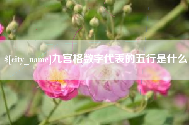 祁阳九宫格数字代表的五行是什么