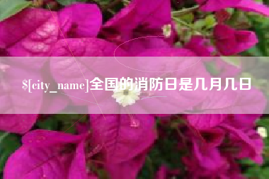 祁阳全国的消防日是几月几日