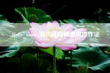 祁阳消防证国网查询操作证