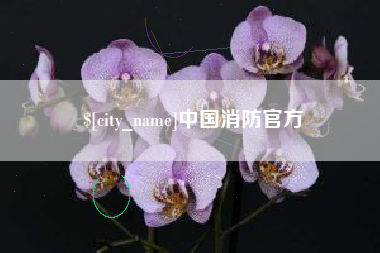 祁阳中国消防官方