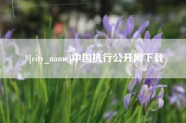 祁阳中国执行公开网下载