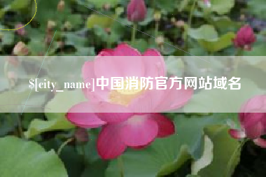 祁阳中国消防官方网站域名