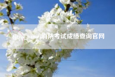 祁阳消防考试成绩查询官网