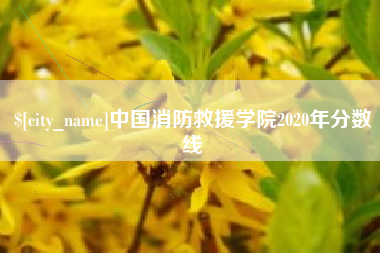 祁阳中国消防救援学院2020年分数线