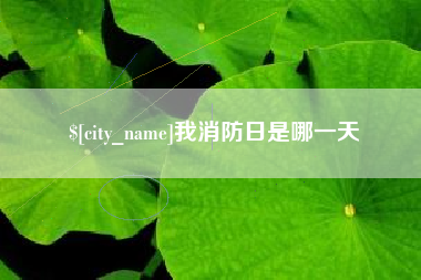 祁阳我消防日是哪一天