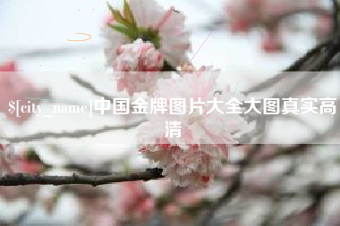 祁阳中国金牌图片大全大图真实高清