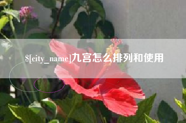 祁阳九宫怎么排列和使用