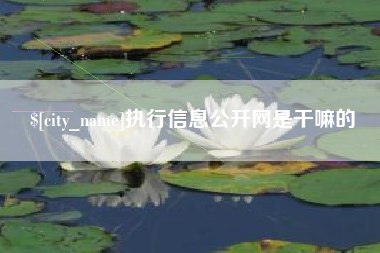 祁阳执行信息公开网是干嘛的