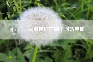 祁阳消控证在哪个网站查询