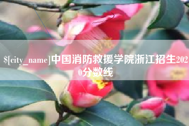祁阳中国消防救援学院浙江招生2020分数线