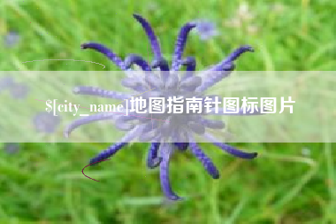 祁阳地图指南针图标图片