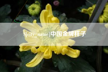 祁阳中国金牌样子