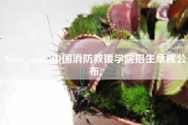 祁阳中国消防救援学院招生章程公布!