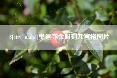 祁阳奥运夺金时刻九宫格图片