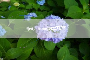 祁阳2022九宫