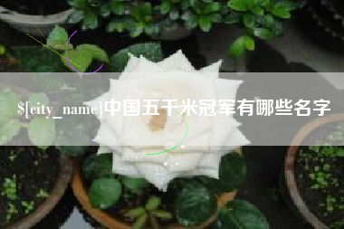 祁阳中国五千米冠军有哪些名字