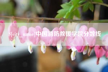 祁阳中国消防救援学院分数线
