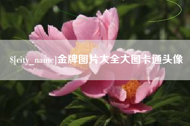 祁阳金牌图片大全大图卡通头像