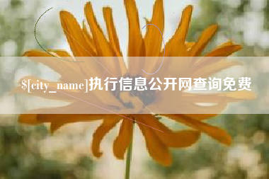 祁阳执行信息公开网查询免费