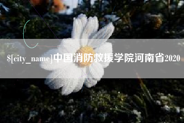 祁阳中国消防救援学院河南省2020